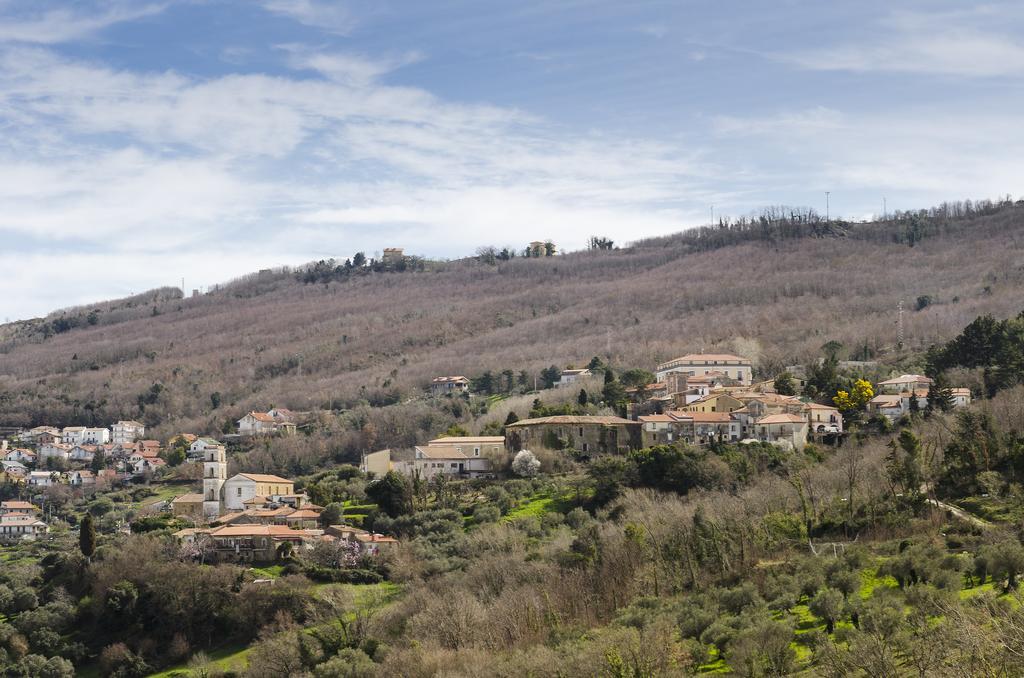 Al Casale Dei Nonni Bed & Breakfast Laureana Cilento Exterior foto